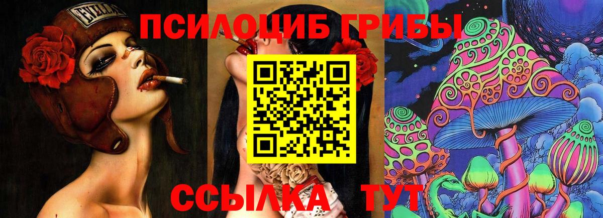 Медногорск  Вход с VPN  Cocaine  Гашиш  Экстази  МЕФ кристаллы  Бошки Шишки  КЕТАМИН 