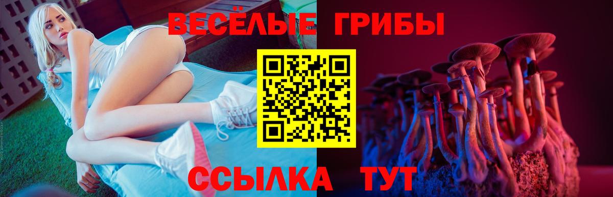 Галлюциногенные грибы GOLDEN TEACHER  Галлюциногенные грибы Psilocybine cubensis  Медногорск  Вход с VPN 